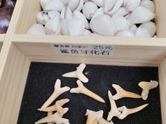 -万达广场(武汉菱角湖店)