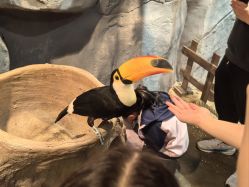 -Zoolung Zoolung动物主题公园(海信广场店)