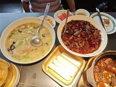 -三强鸽子(中原路店)