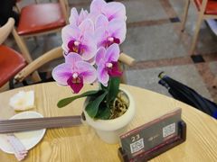 -佛有缘素食馆·荔湾老字号(陈家祠首店)