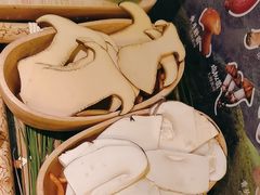 -季季山•云南野生菌火锅(上海首店)