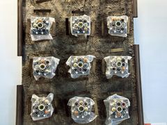 -西安电影制片厂