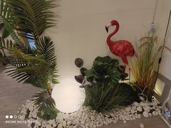 -大观园影院式足浴Spa店(沙坪坝店)