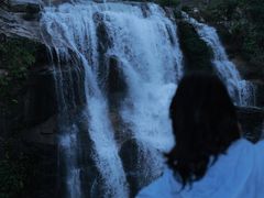 -海南热带雨林国家公园吊罗山景区