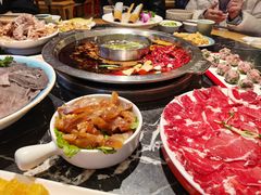 卤耙蹄筋-映山红鲜货火锅(鱼嘴店)