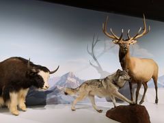 -陕西自然博物馆