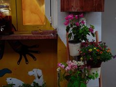 -茶是一枝花泡茶店