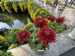 -杭州植物园