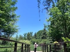 -郑州植物园