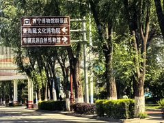 -青海藏文化博物院