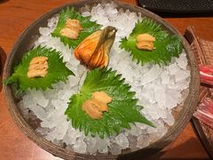 -月龍吟(朝龙汇店)