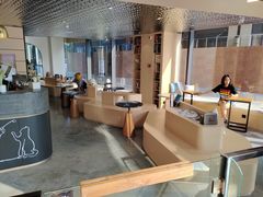 -瞄一喵猫咖(格力海岸店)