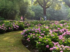 -共青国家森林公园-售票处