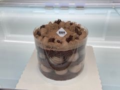 -TD66高山铁皮石斛养生茶饮