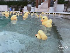 -苏州湾王焰温泉度假酒店