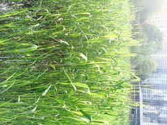 梦清园-苏州河梦清园环保主题公园