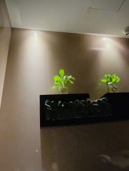 -史云逊养发护发