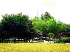 -北坞公园