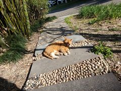 -苏州河梦清园环保主题公园