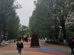 -哈尔滨文化公园