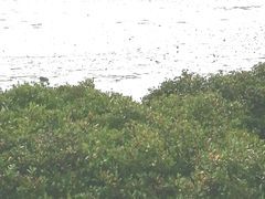 -霞山观海长廊