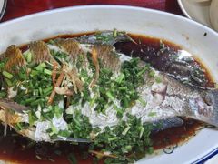 -芦茨金富饭庄·25年老字号·专做稻草鸡