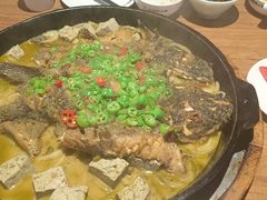 -老板恋上鱼(恒隆广场店)