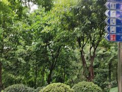 -龙头寺公园