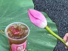 -炖物24章·顺时轻养茶(杭州保利时光里店)