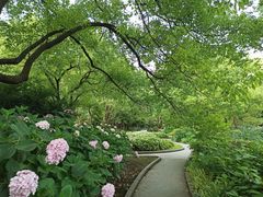 -共青国家森林公园-售票处