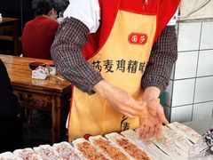 -张坝桂圆林公园