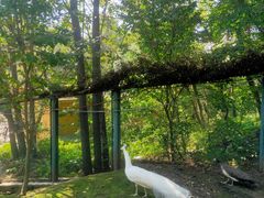 -哈尔滨北方森林动物园