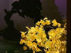 -觀芷隐轩