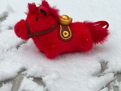 -狼山风景名胜区