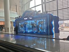 -广州白云国际机场-T2航站楼