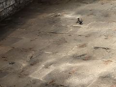 -元代水闸遗址博物馆