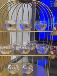 -武汉汉口喜来登大酒店·宴会厅