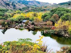 -白马涧龙池景区