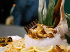 -金龙·打边炉(南京西路店)