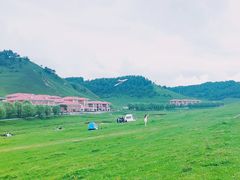 -关山草原