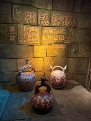 -翱翔飞越地平线