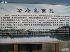 -大湾区中央湿地公园