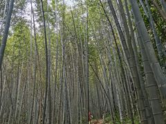 -鸡枕山