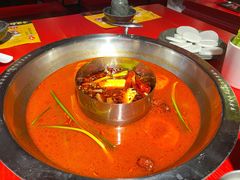-谭鸭血老火锅(万象九宜城店)