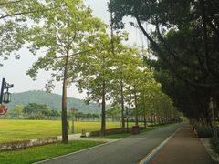 -顺峰山公园