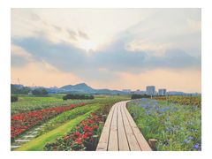 -光明小镇欢乐田园