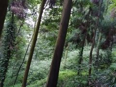 -青城山
