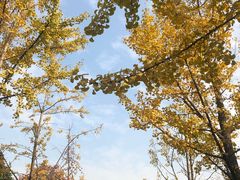 -杭州城北体育公园