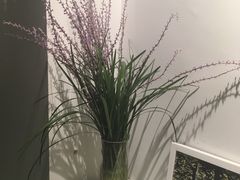 -娜娜的大房子