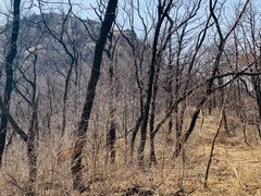 -沂蒙山旅游区云蒙景区(蒙山国家森林公园)